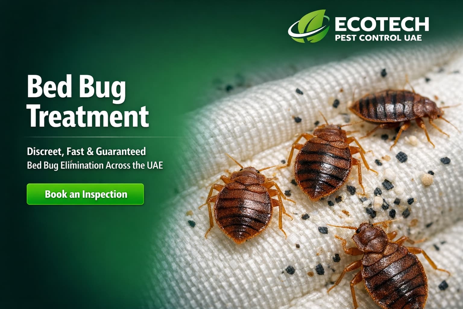 Ecotech Pest Control bed bug treatment service page banner – UAE market